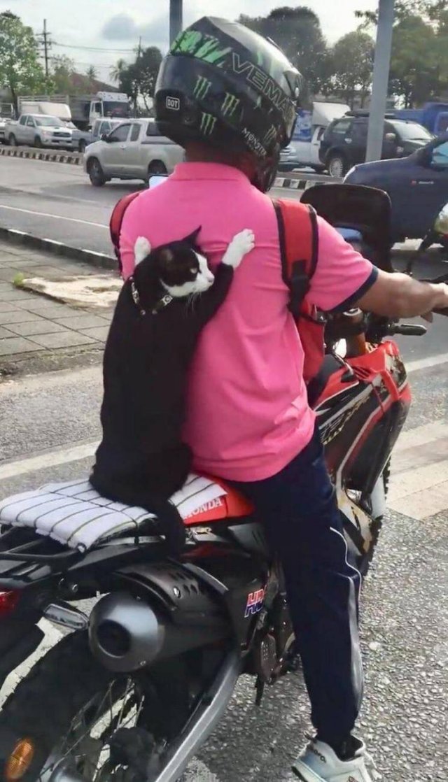 Acid Picdump. Part 1 (75 pics)