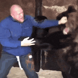 Acid Gifdump, October 21 (25 gifs)