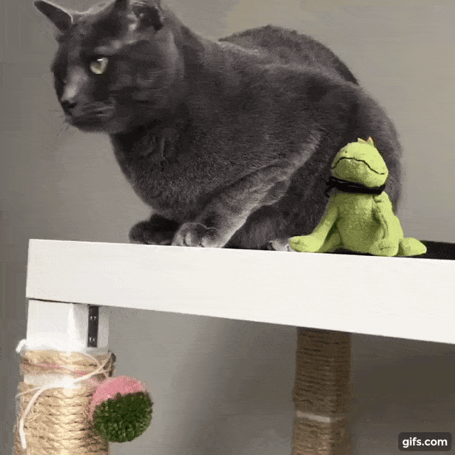 Acid Gifdump, October 21 (25 gifs)