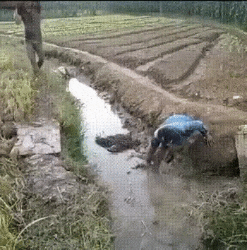 Acid Gifdump, October 21 (25 gifs)