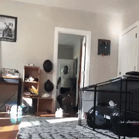 Acid Gifdump, October 21 (25 gifs)