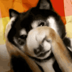 Acid Gifdump, October 21 (25 gifs)