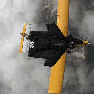 Acid Gifdump, October 21 (25 gifs)