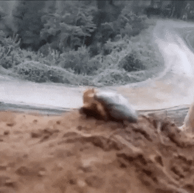 Acid Gifdump, October 21 (25 gifs)