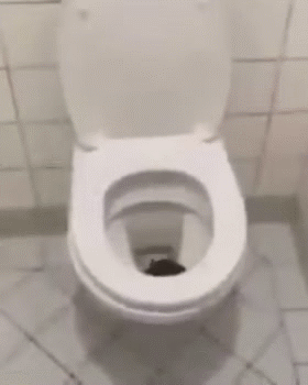 Acid Gifdump, October 21 (25 gifs)