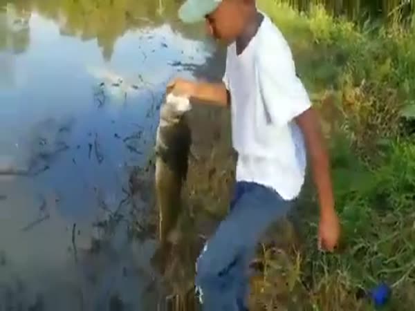 Great Catch, Boy!