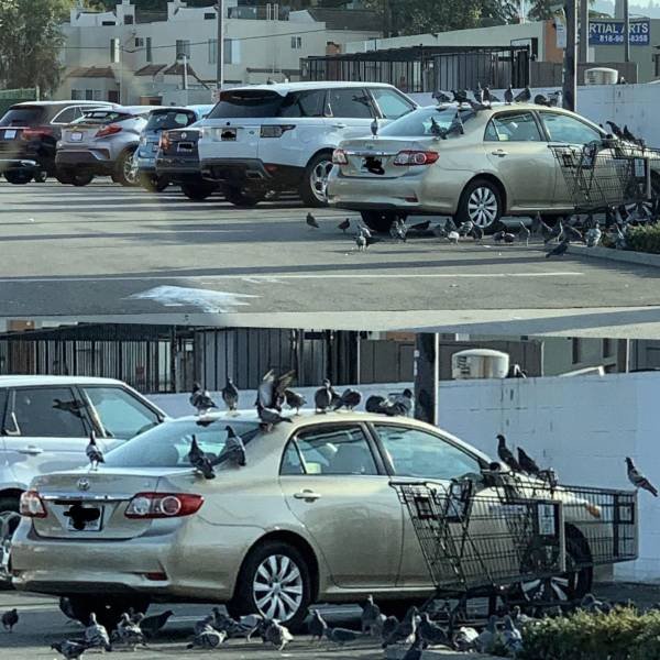 The Worst Day (46 pics)