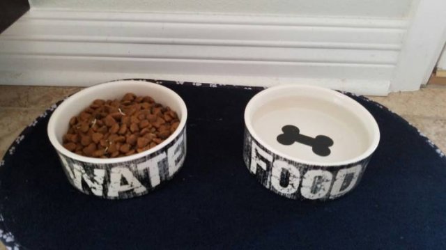 When Your Roommates Are Awful (35 pics) When Your Roommates Are Awful (35 pics)