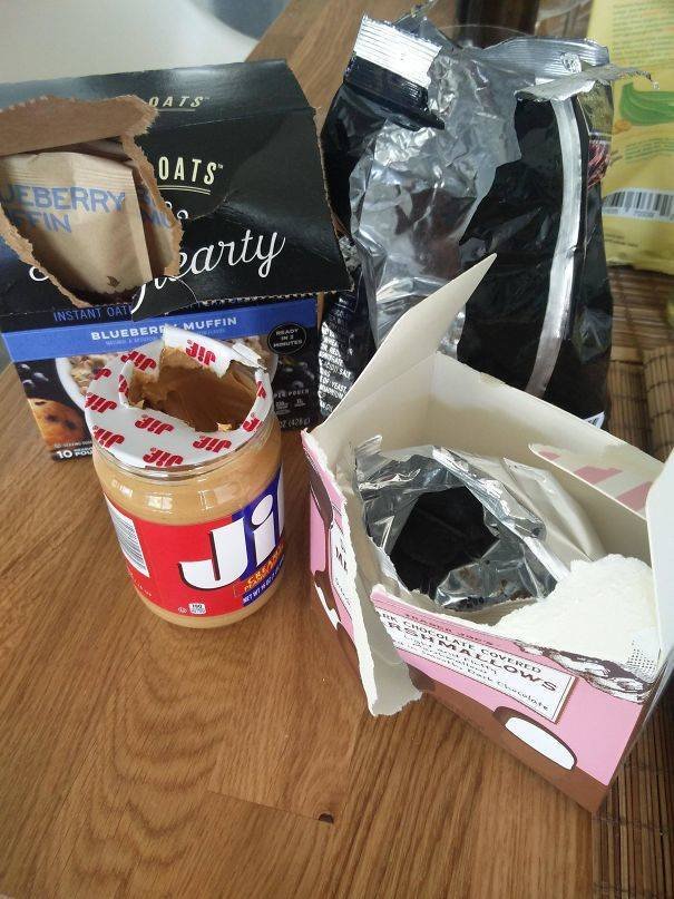 When Your Roommates Are Awful (35 pics) When Your Roommates Are Awful (35 pics)