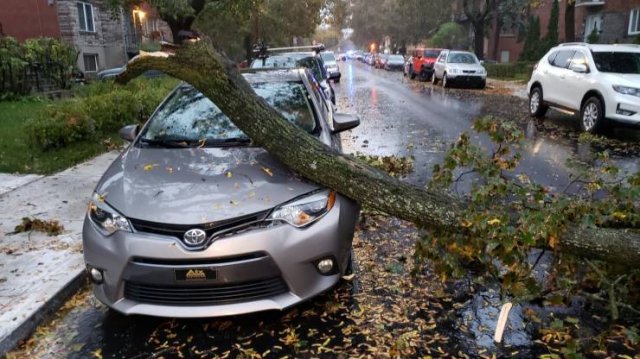 The Worst Day (46 pics)
