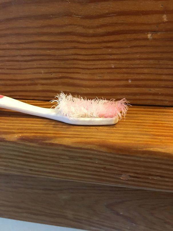When Your Roommates Are Awful (35 pics) When Your Roommates Are Awful (35 pics)
