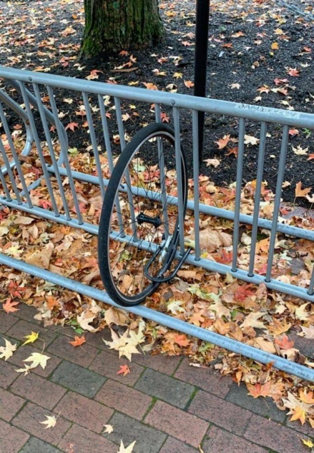 The Worst Day (46 pics)