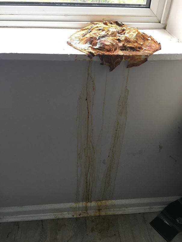When Your Roommates Are Awful (35 pics) When Your Roommates Are Awful (35 pics)