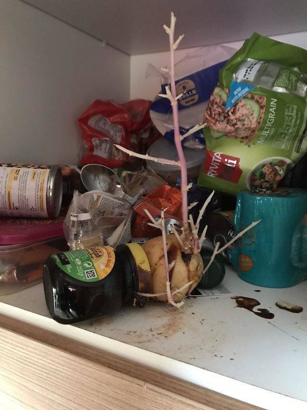 When Your Roommates Are Awful (35 pics) When Your Roommates Are Awful (35 pics)