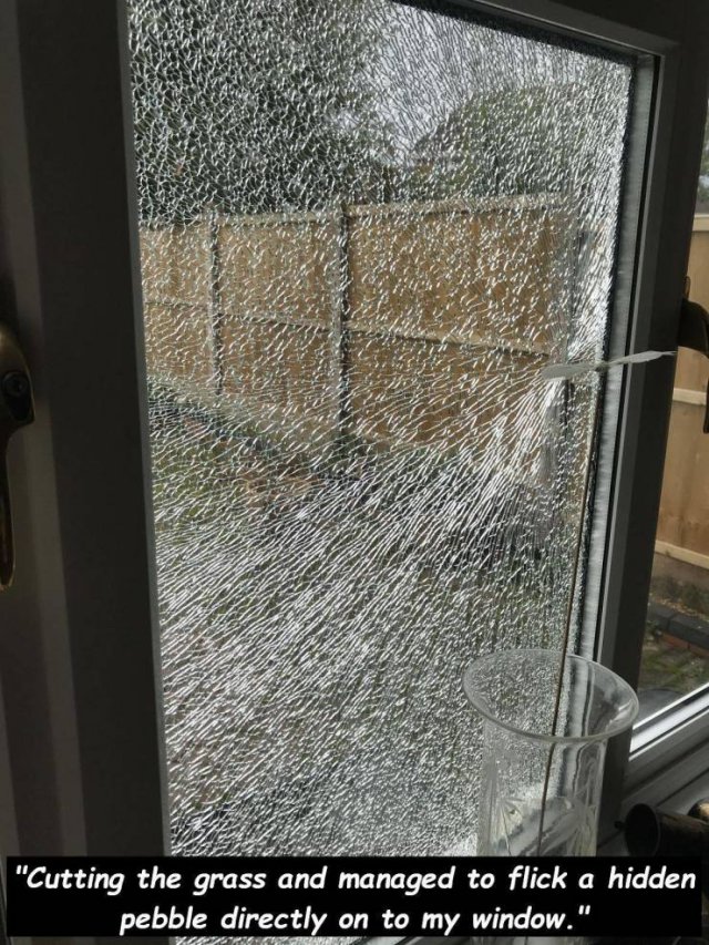 The Worst Day (46 pics)