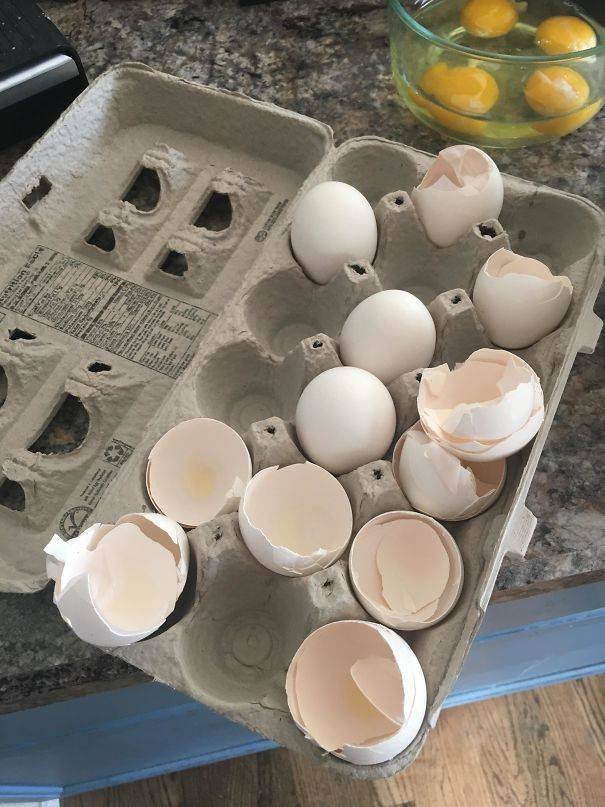 When Your Roommates Are Awful (35 pics) When Your Roommates Are Awful (35 pics)