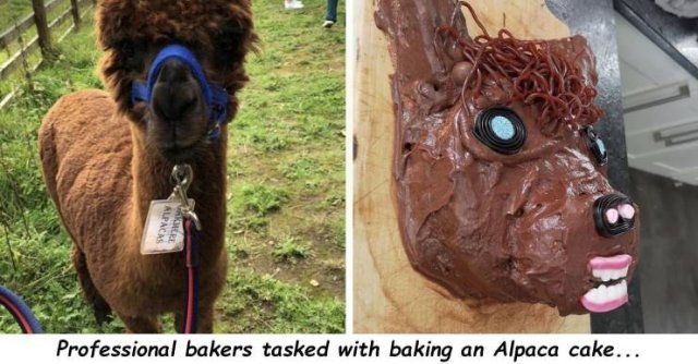 The Worst Day (46 pics)