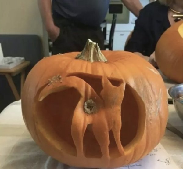 Creative Jack O'Lanterns (43 pics)