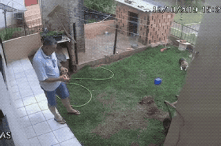 These All About Fails (16 gifs)