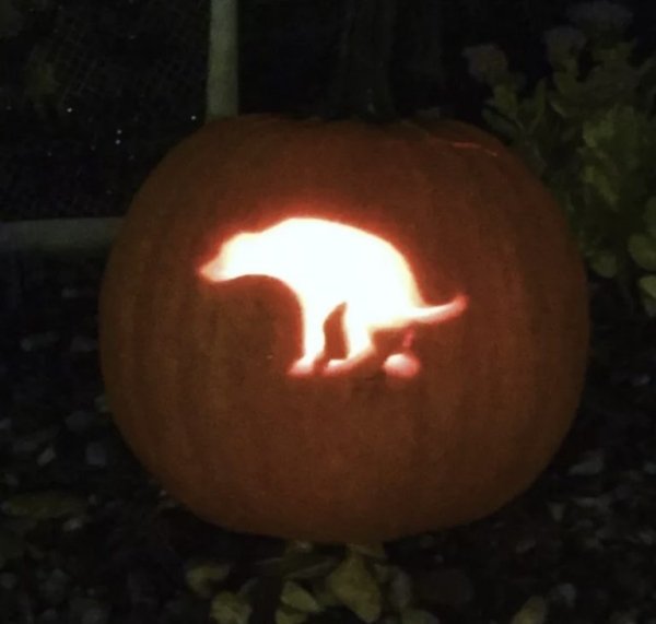 Creative Jack O'Lanterns (43 pics)