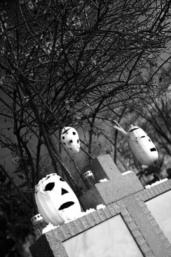 Creative Jack O'Lanterns (43 pics)
