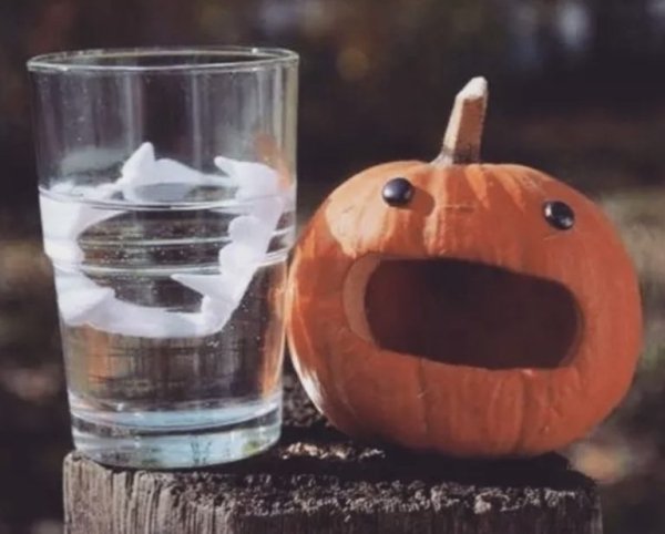 Creative Jack O'Lanterns (43 pics)