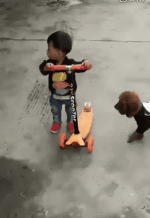 These All About Fails (16 gifs)