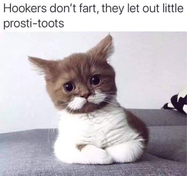 Dirty Humor (34 pics)
