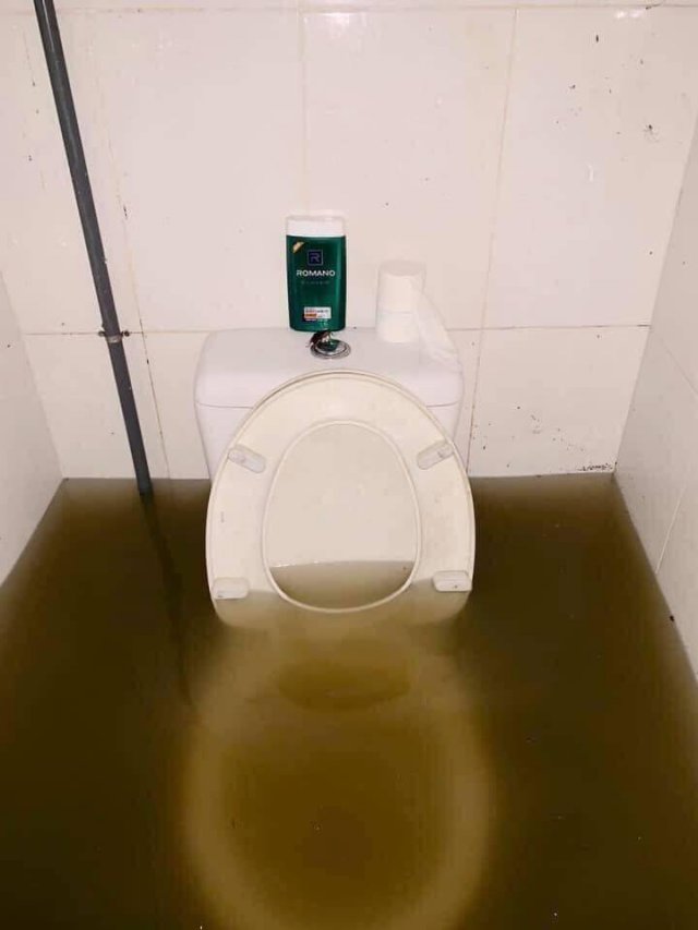 Acid Picdump. Part 1 (95 pics)