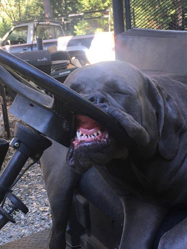 Acid Picdump. Part 2 (93 pics)