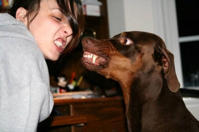 Acid Picdump. Part 1 (95 pics)