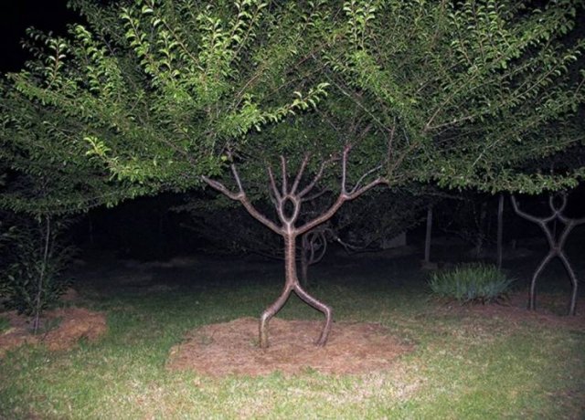 Acid Picdump. Part 1 (95 pics)
