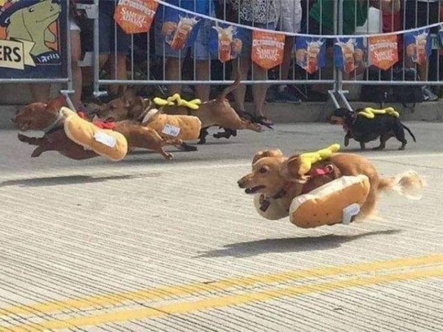 Acid Picdump. Part 1 (95 pics)