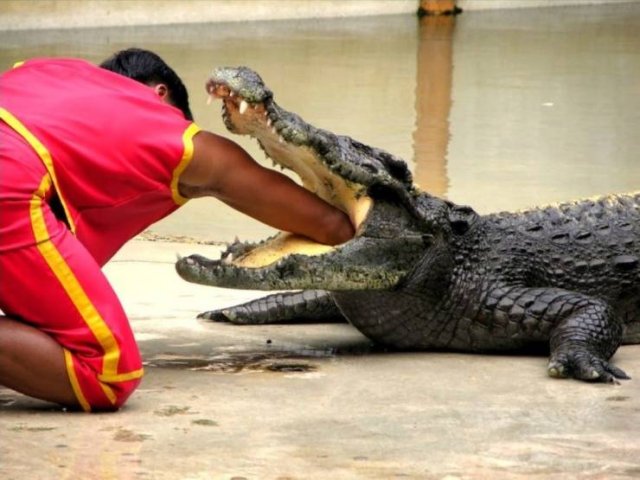 Acid Picdump. Part 1 (95 pics)