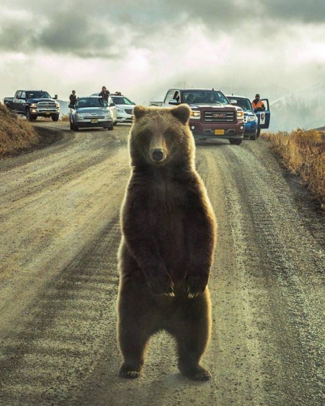Acid Picdump. Part 1 (95 pics)