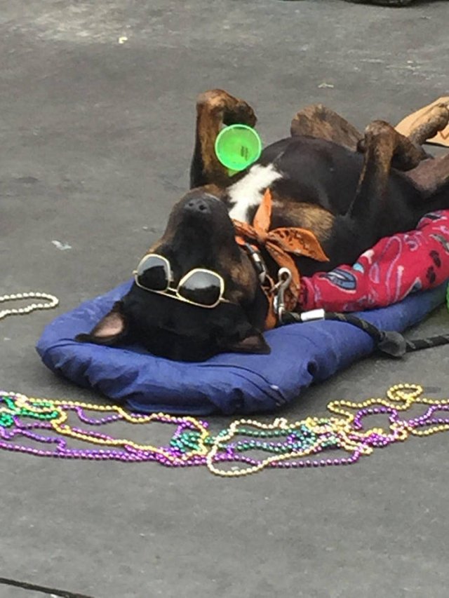 Acid Picdump. Part 2 (93 pics)