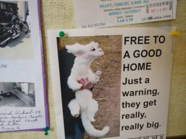 Acid Picdump. Part 2 (93 pics)