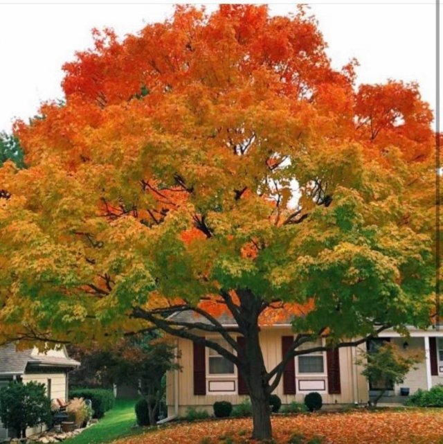 Beautiful Fall Across The World (22 pics) Beautiful Fall Across The World (22 pics)