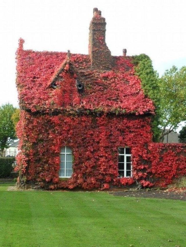 Beautiful Fall Across The World (22 pics) Beautiful Fall Across The World (22 pics)