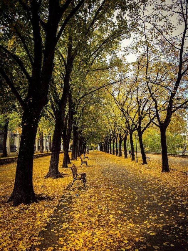 Beautiful Fall Across The World (22 Pics)