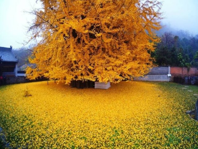 Beautiful Fall Across The World (22 pics) Beautiful Fall Across The World (22 pics)