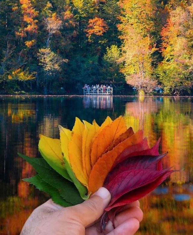 Beautiful Fall Across The World (22 pics) Beautiful Fall Across The World (22 pics)