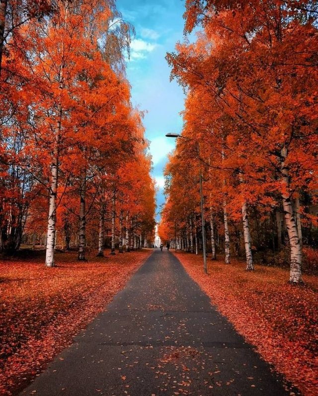 Beautiful Fall Across The World (22 pics) Beautiful Fall Across The World (22 pics)
