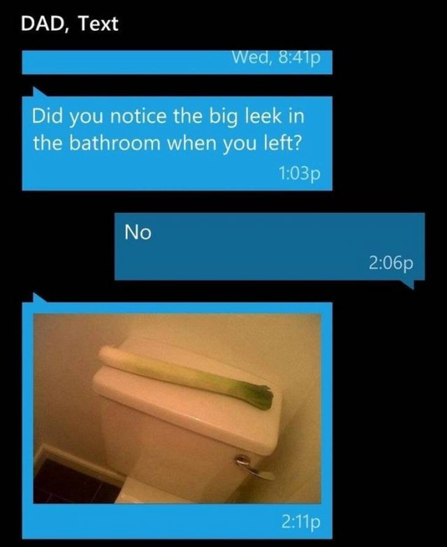 Texts From Dads (20 pics)