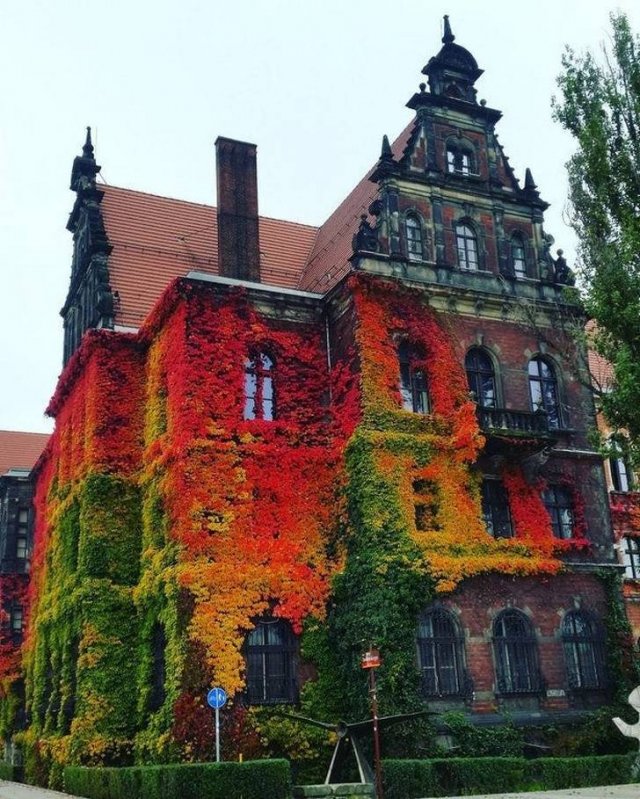 Beautiful Fall Across The World (22 pics) Beautiful Fall Across The World (22 pics)