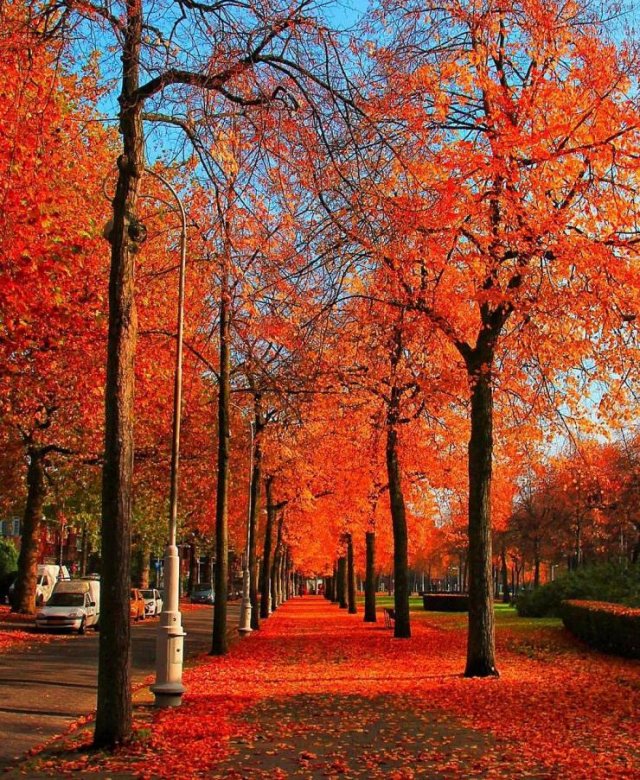 Beautiful Fall Across The World (22 pics)