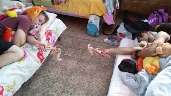 WTF Pics (38 pics)