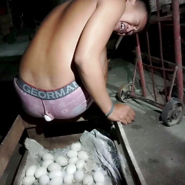 WTF Pics (38 pics)