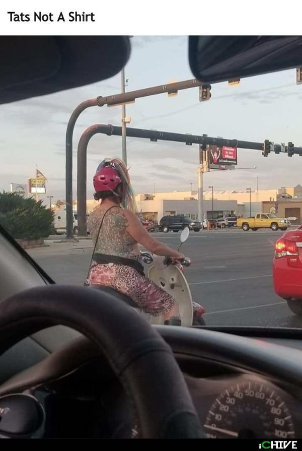 WTF Pictures (37 pics)