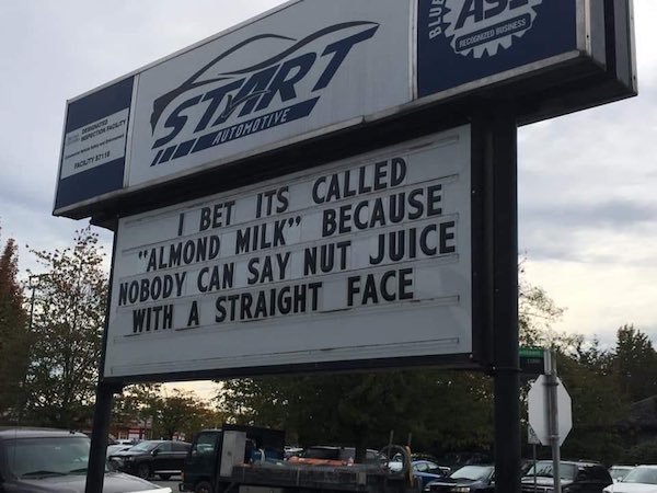 WTF Pictures (37 pics)
